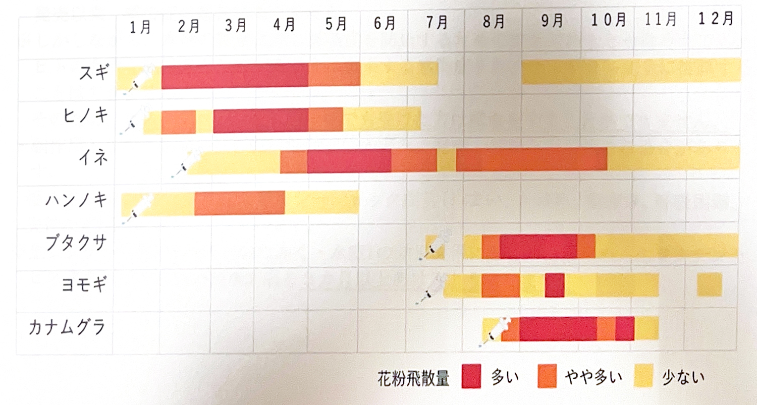 ヒスタグロビン注射の治療開始時期